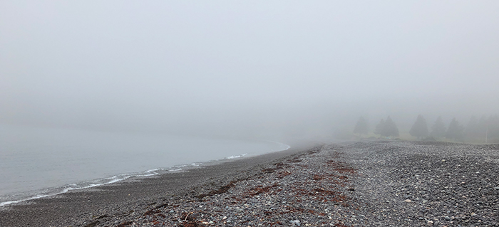 Image of Jasper Beach in the mist