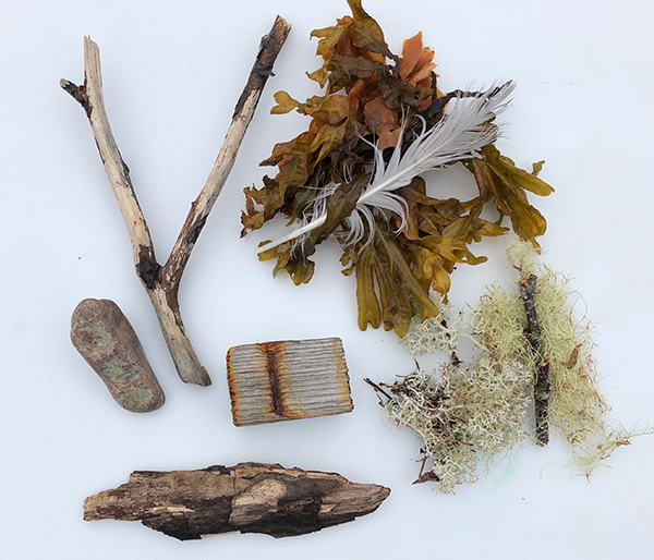 Image of found seaweed and stones