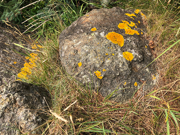 Image of rocks