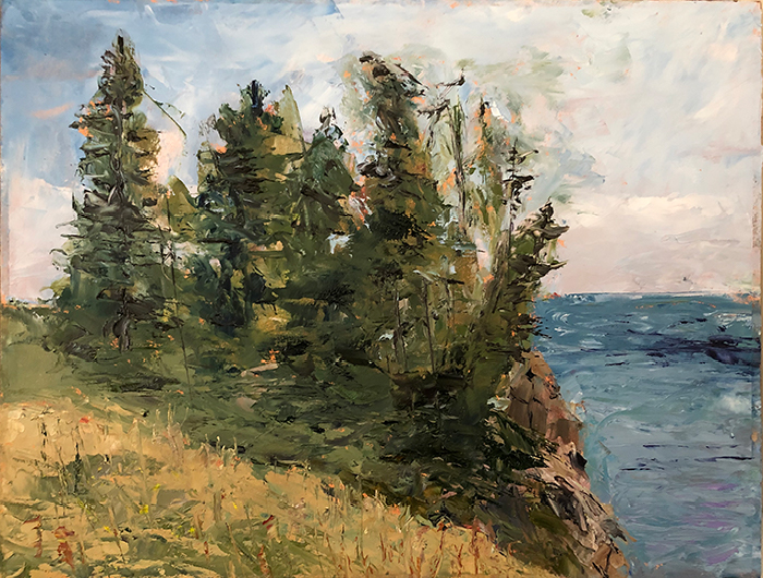 Image of Quoddy State Park Painting