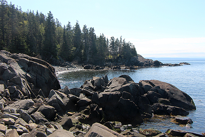 Image of Quoddy Head State Park