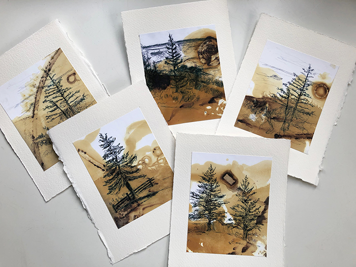 Image of Maine Tree sketches