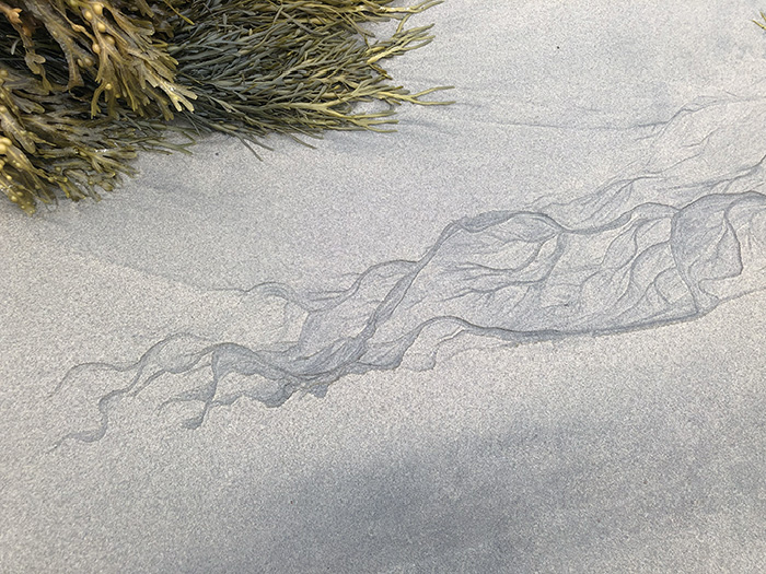 Image of Sand Drawings