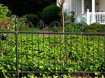 hairpin fence