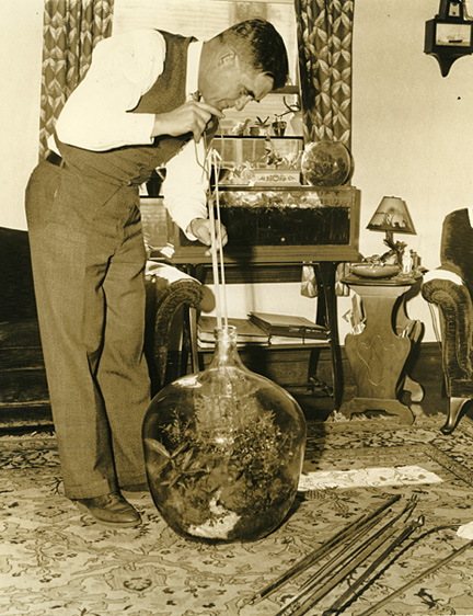 Curt Reinhardt working on his terrarium.