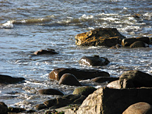 Image of Beach rocks