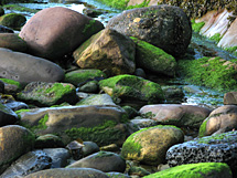 Second image of Beach rocks