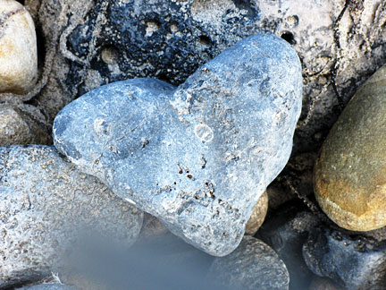 image of heart shaped stone