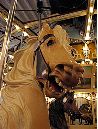 Jane's Carousel