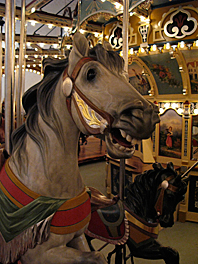 Jane's Carousel