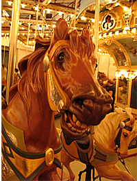 Jane's Carousel