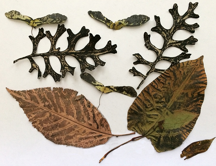 Leaves after printing
