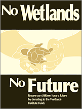 Wetlands Poster